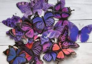 Stickers pet Mariposa lila XL