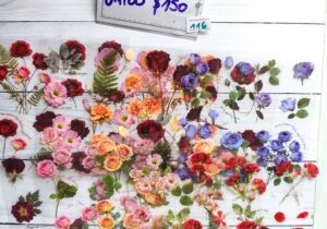 Planchas de stickers pet flores 116