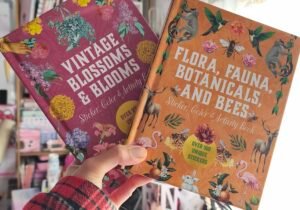 Libros de stickers