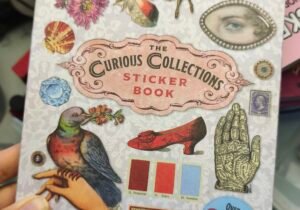 Libro de stickers Curious collection
