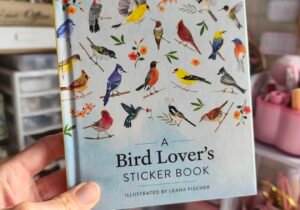 Libro de Stickers Love Bird