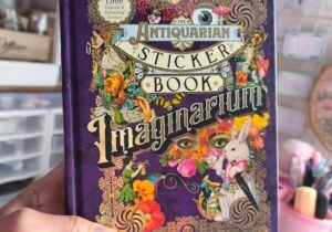 Libro de stickers Imaginarium
